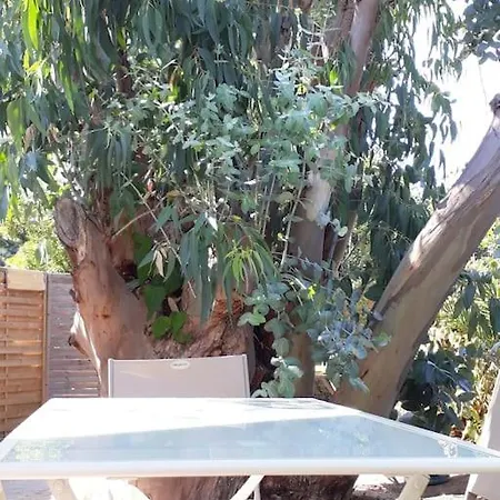 Eucalyptus Apartman *