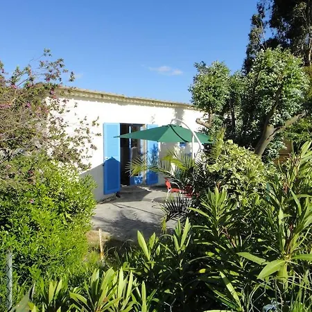 Eucalyptus Daire Canale-di-Verde